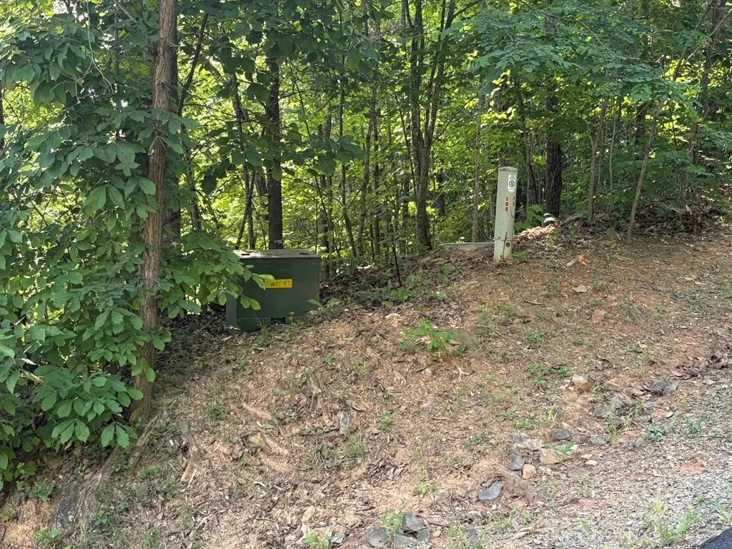 Picture 5