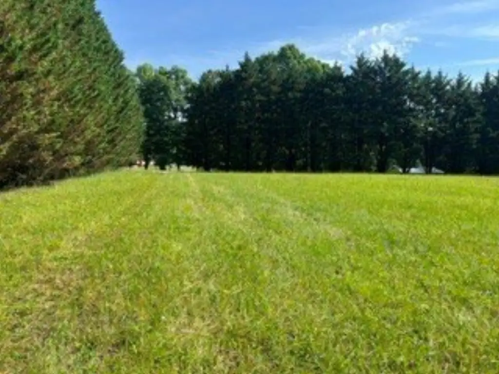 Picture 5