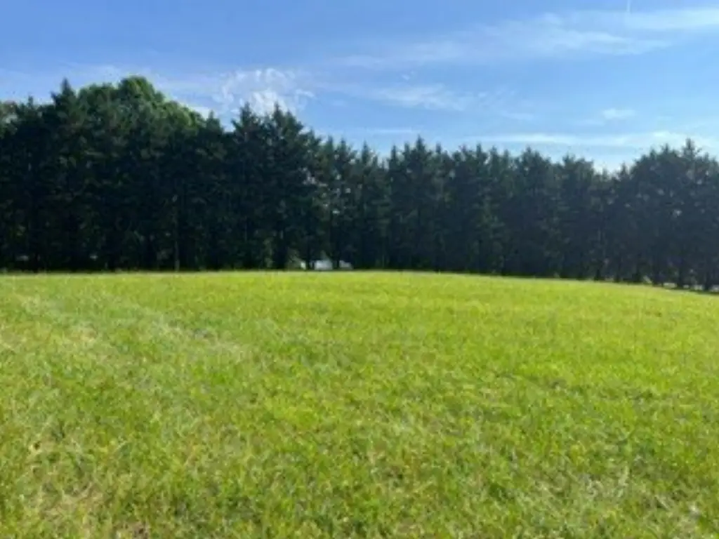 Picture 3