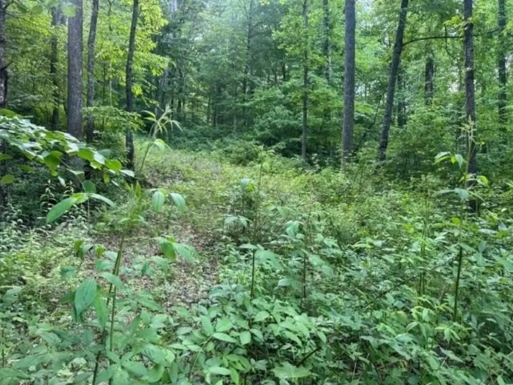 Picture 6