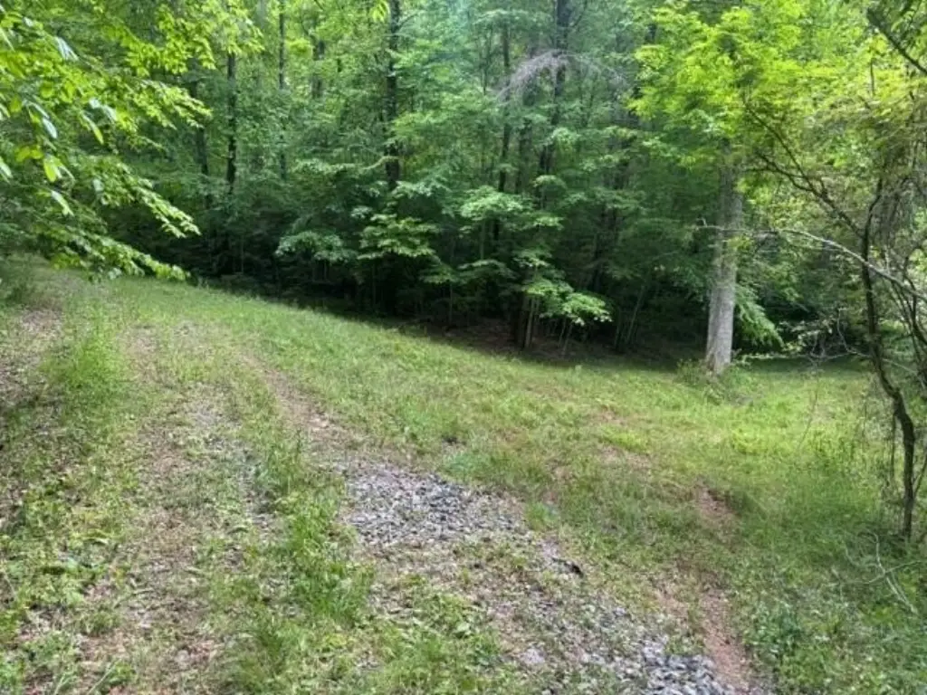 Picture 10