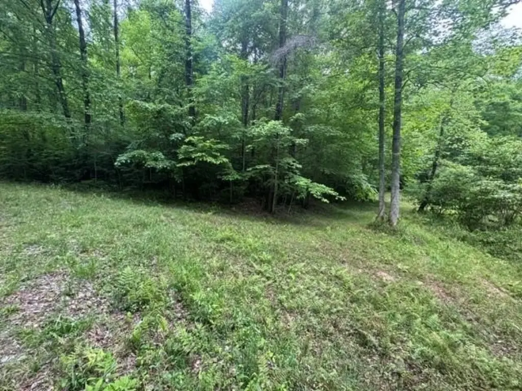 Picture 8