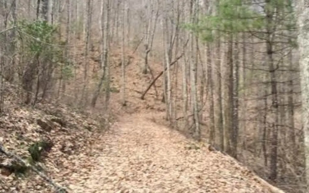 Picture 3