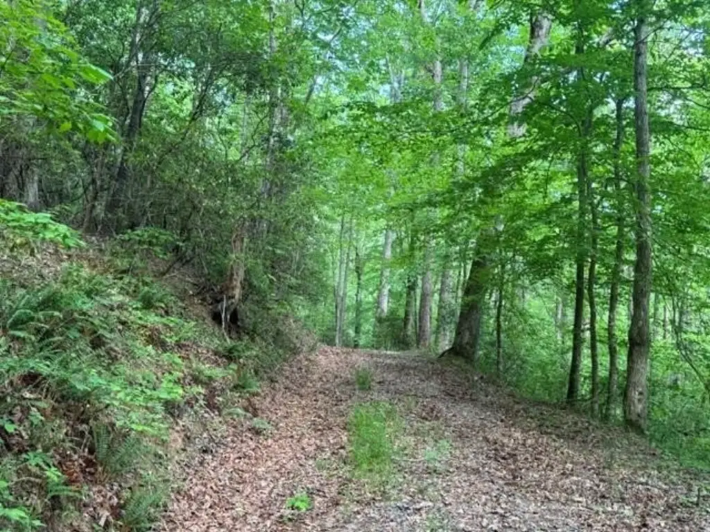 Picture 5