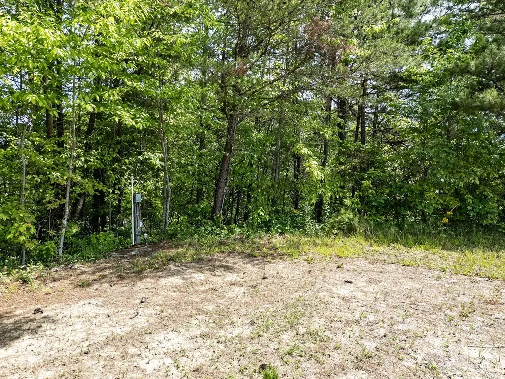 Picture 18