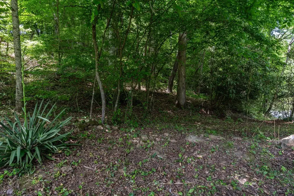 Picture 33
