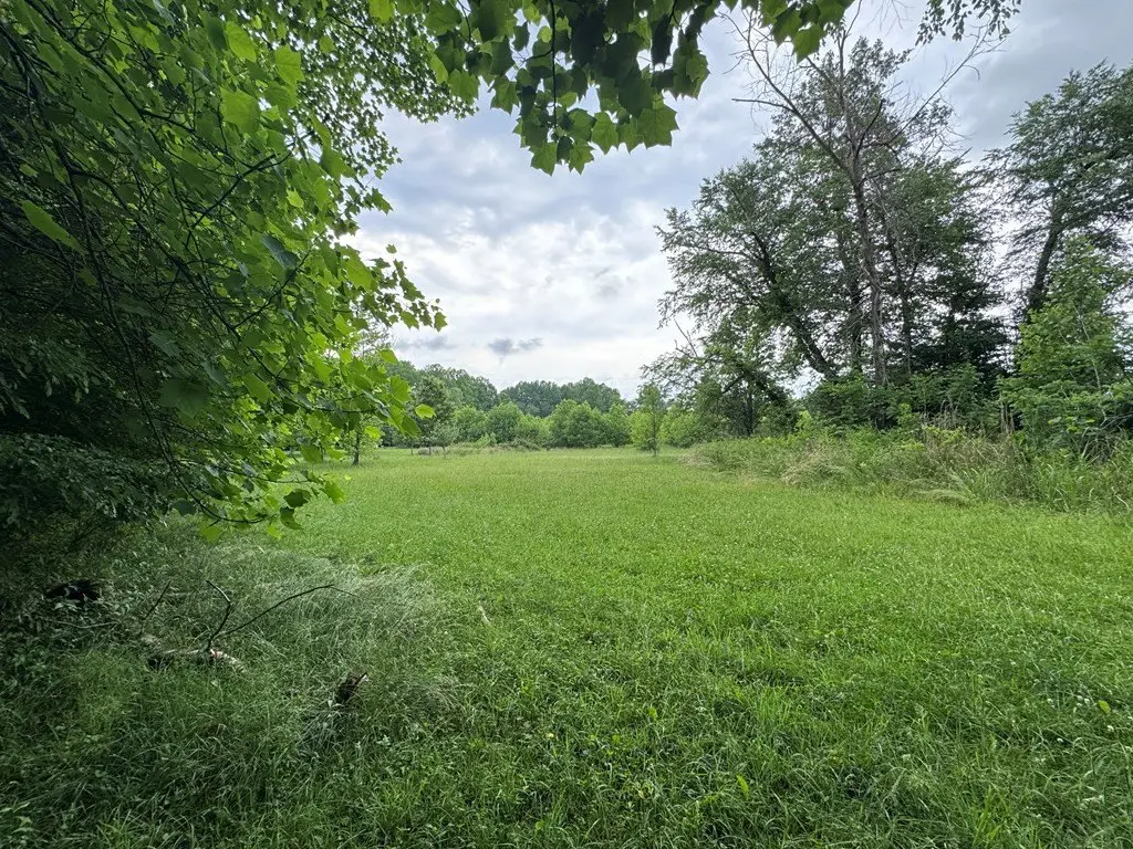 Picture 20
