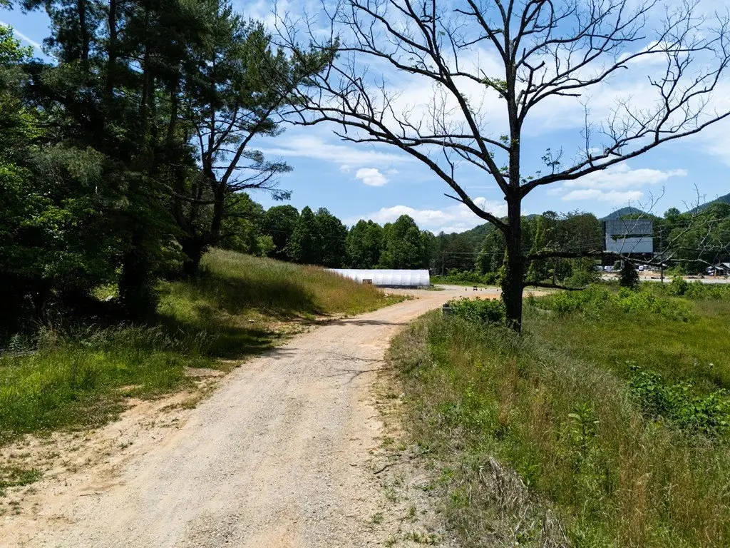 Picture 28
