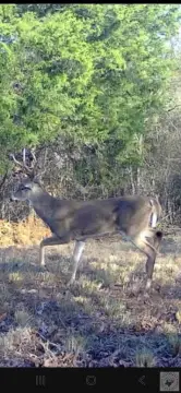 Recreational Land in Doddridge, AR