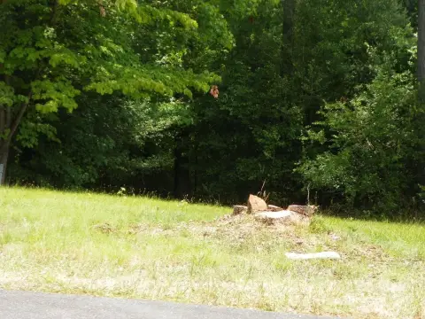 Vacant Lot in Gated Community