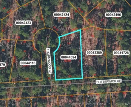 Wooded Lot in Vass, NC