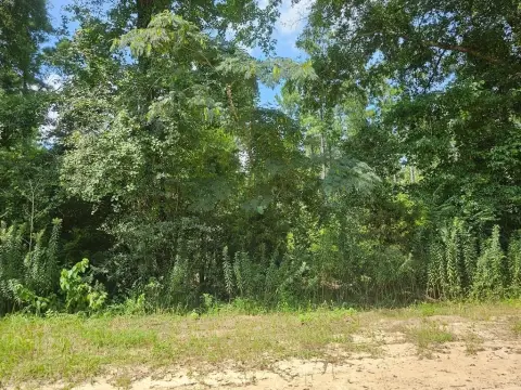 Residential Land in Hartford, AL