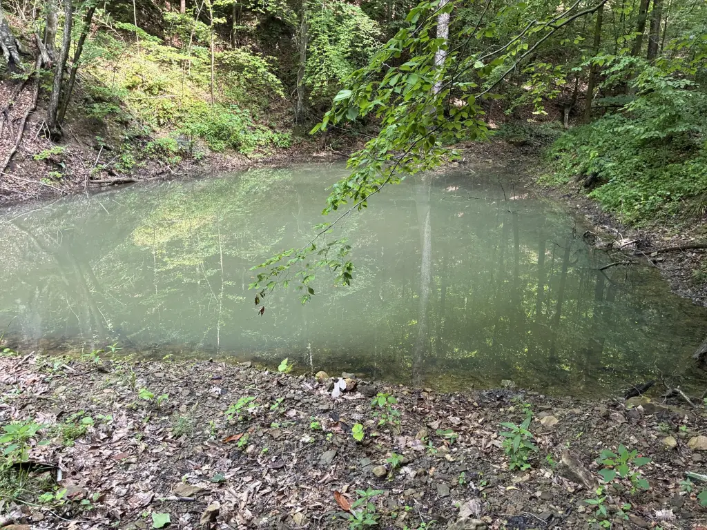 Picture 15