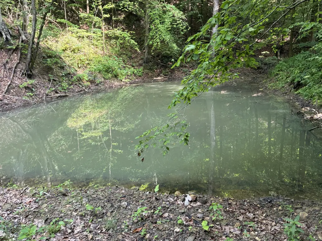 Picture 16
