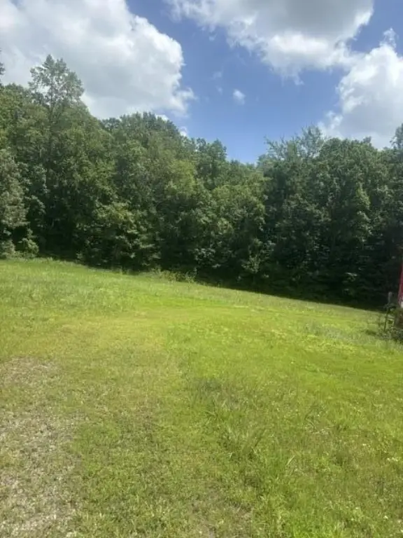 Picture 2