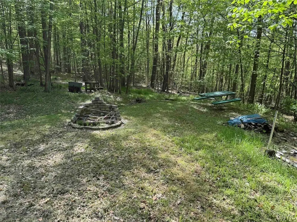 Picture 25