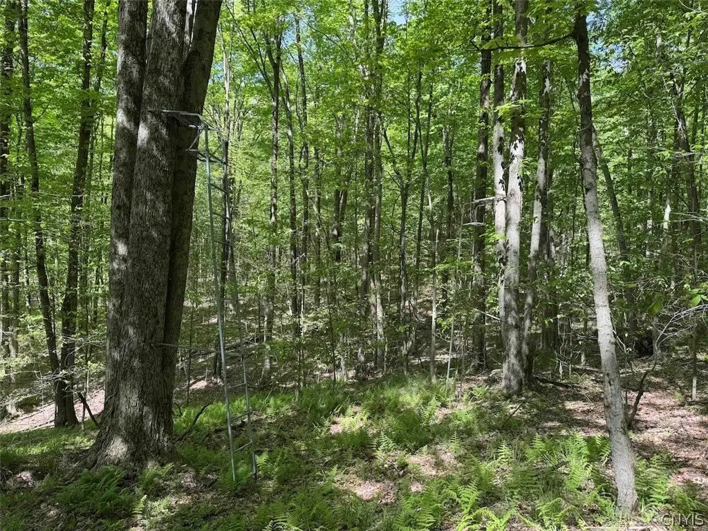 Picture 41