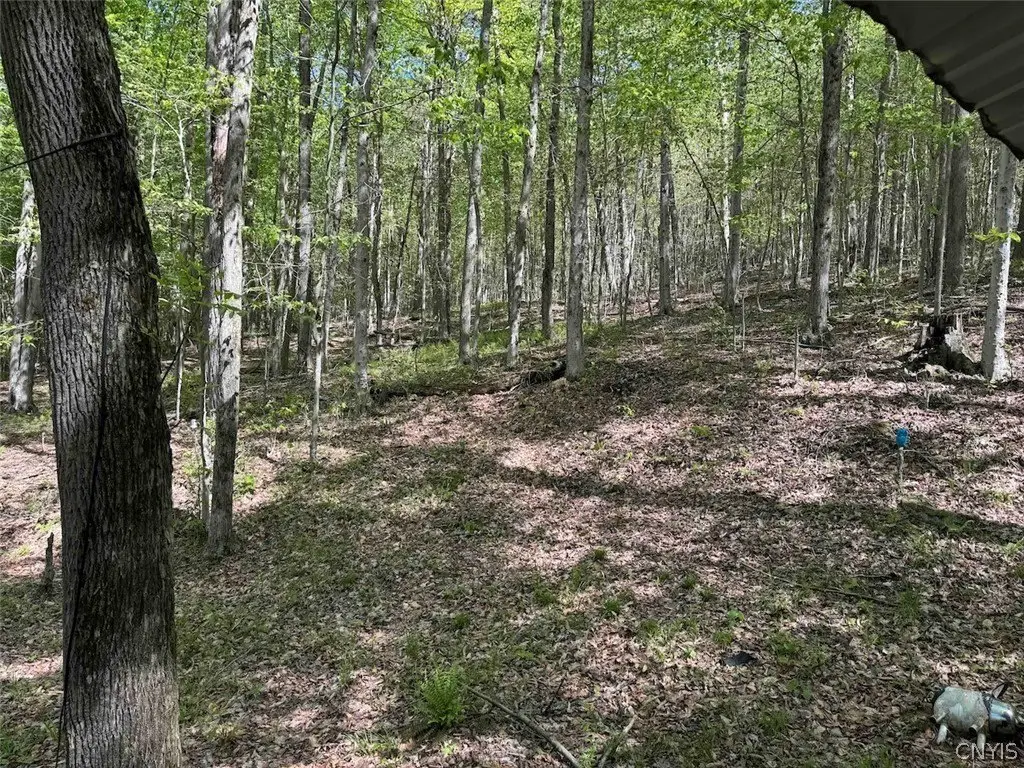 Picture 30