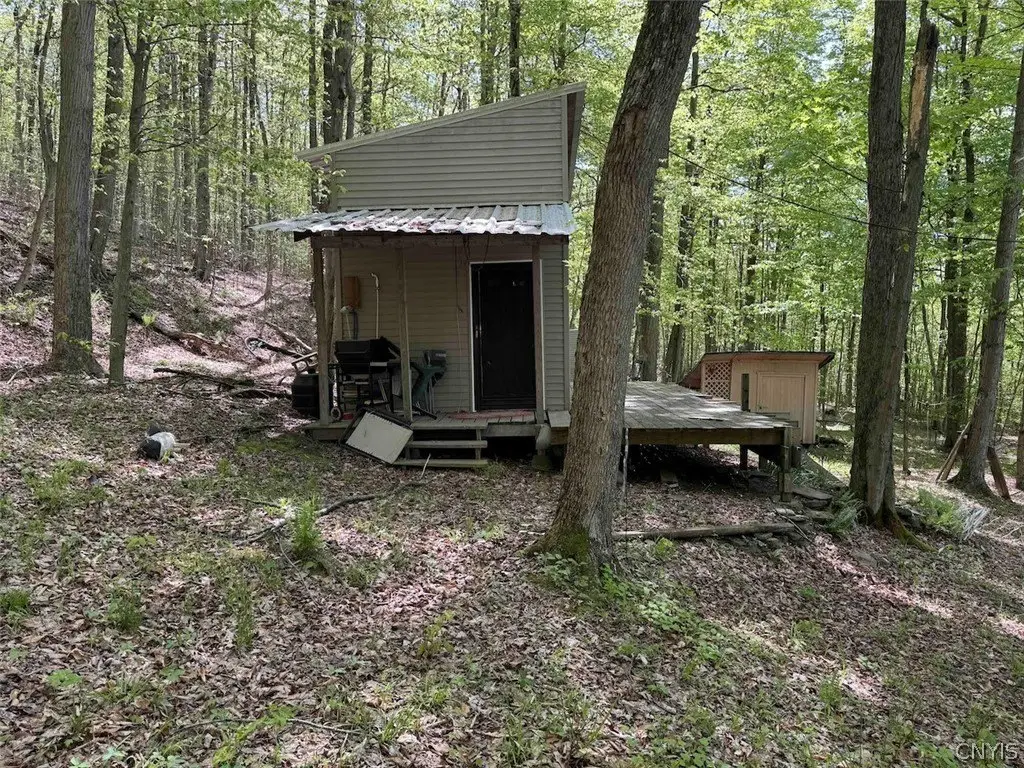 Picture 5