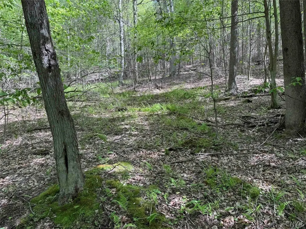 Picture 38