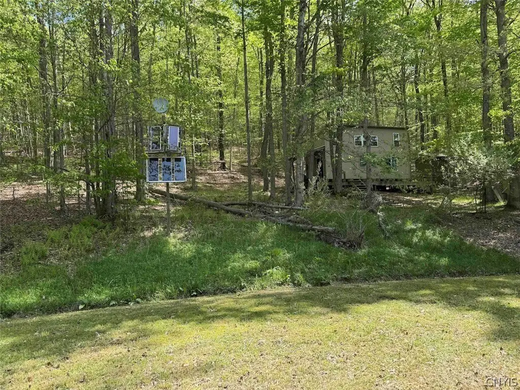 Picture 6