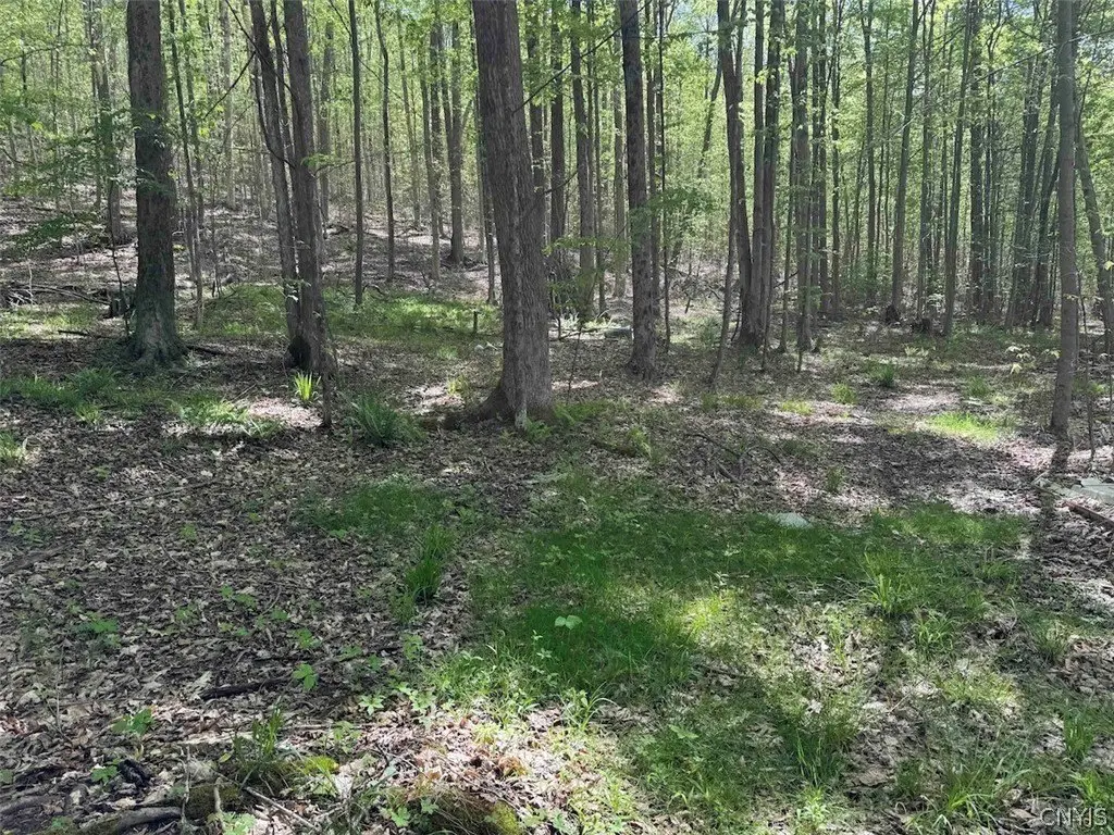 Picture 45