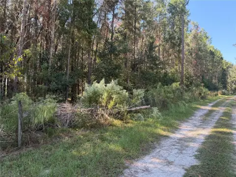 6.35 Acres Between Newberry and High Springs