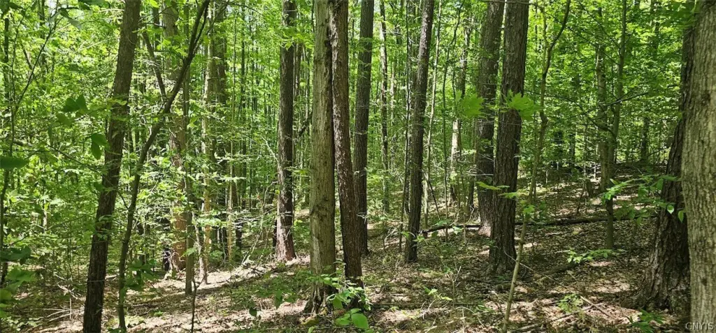 Picture 17
