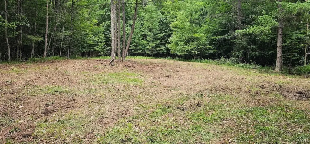 Picture 3