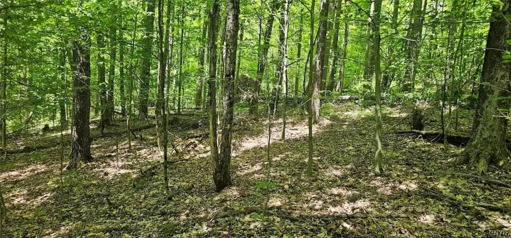 Picture 16