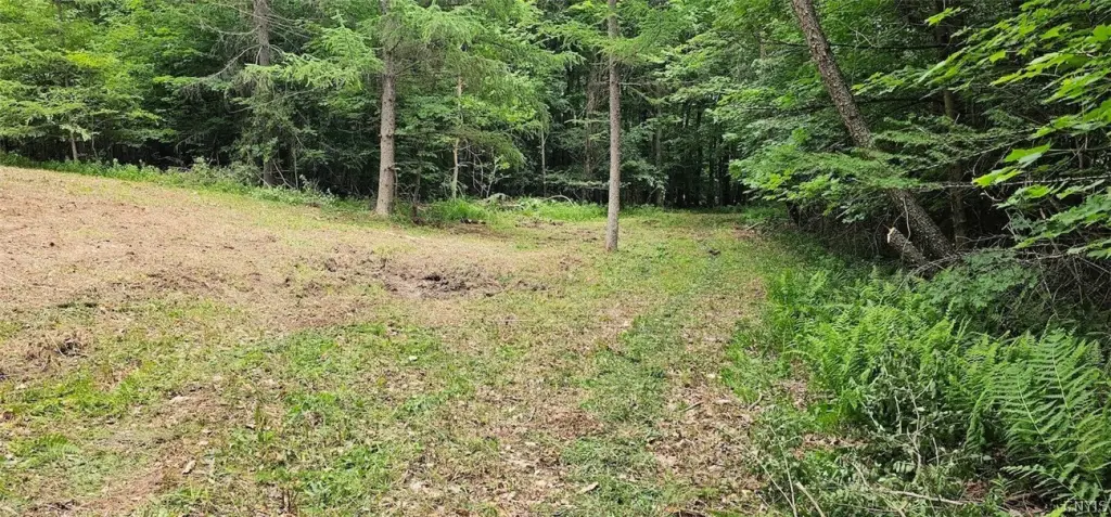 Picture 2