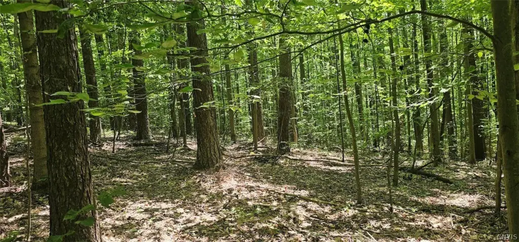 Picture 14