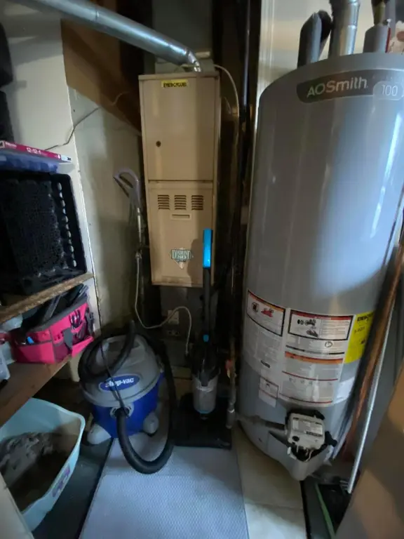 Picture 11