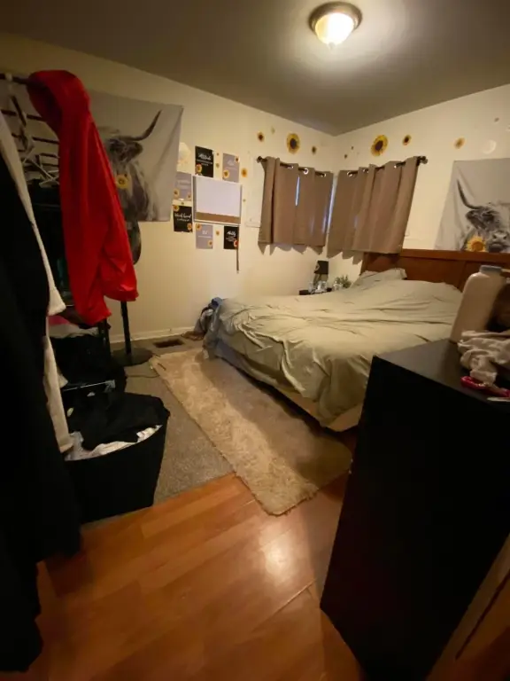 Picture 14
