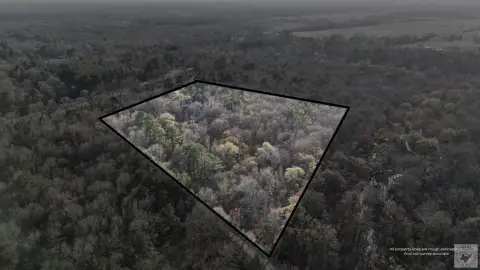 Wooded Acreage with Creek