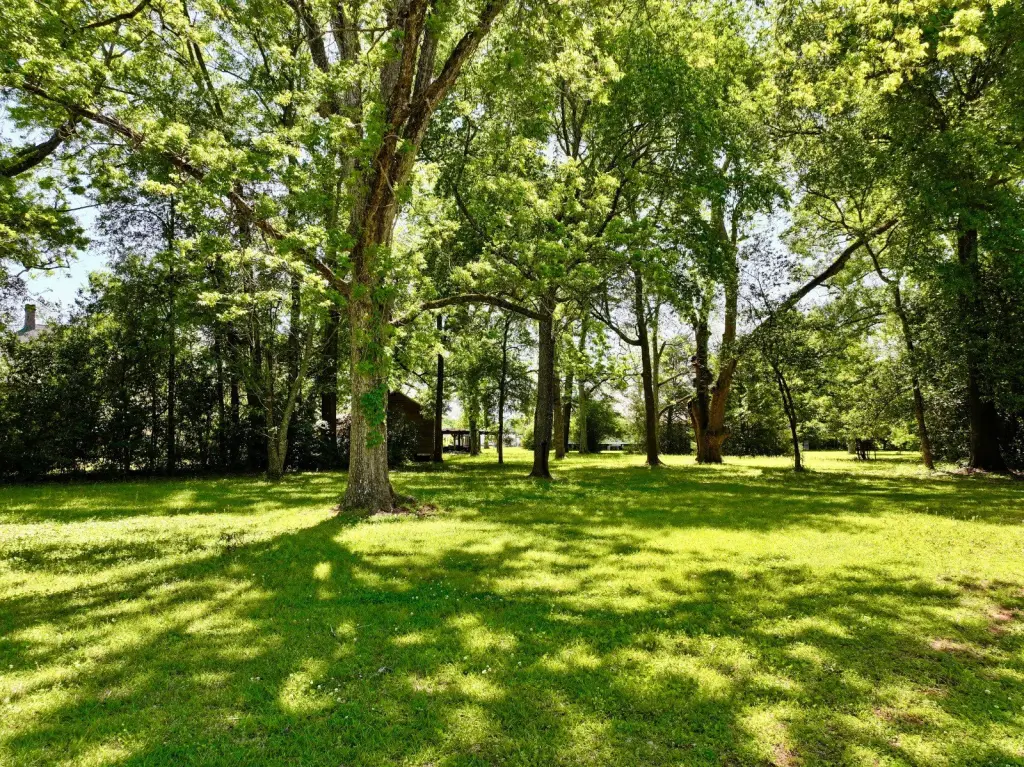 Picture 24