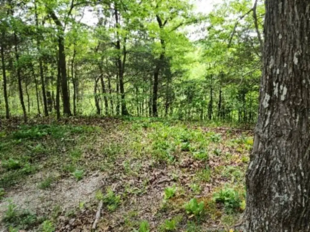Picture 6