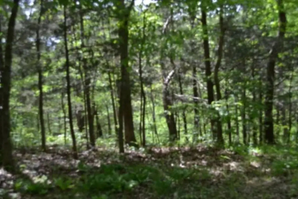 Picture 13