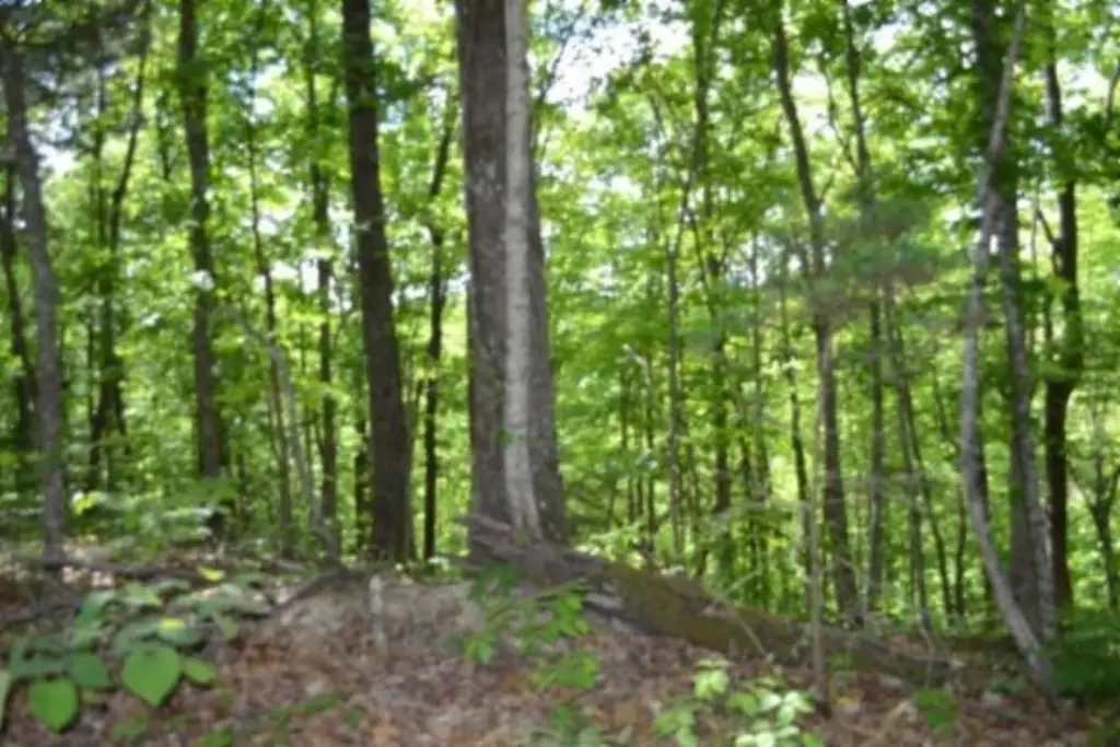 Picture 31