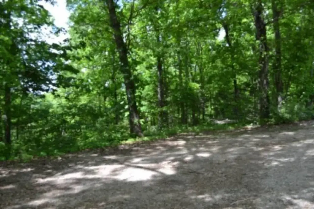 Picture 20