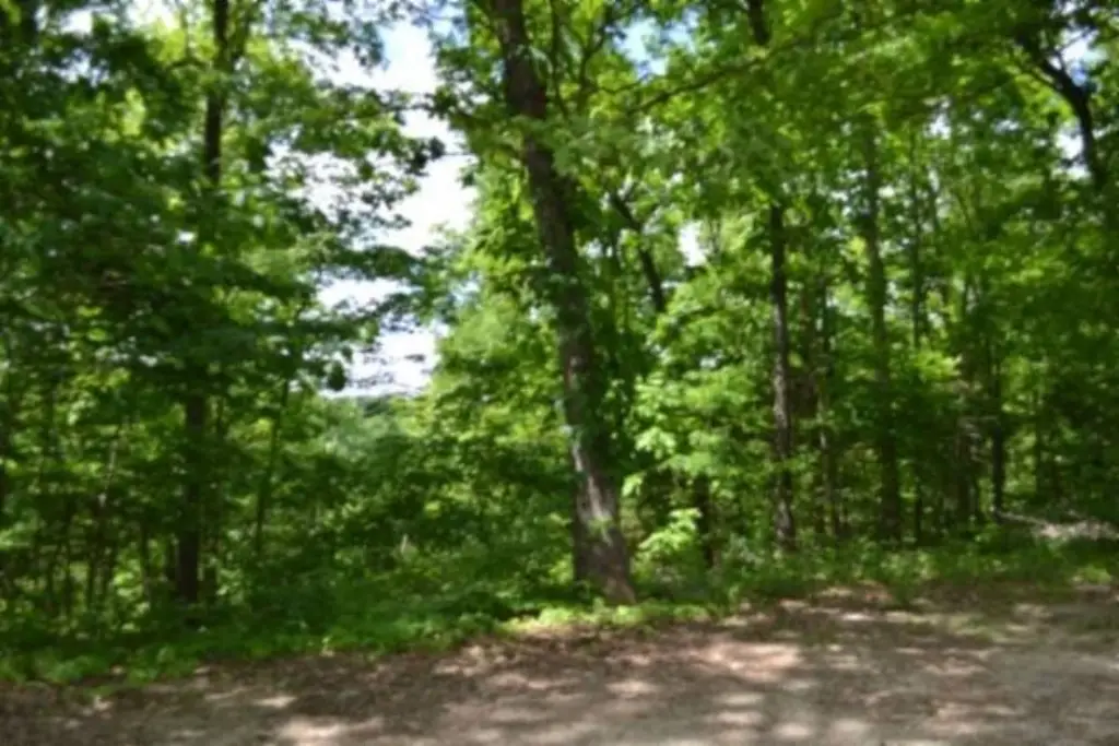 Picture 21
