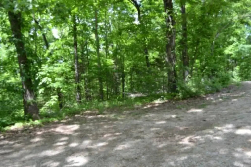Picture 23