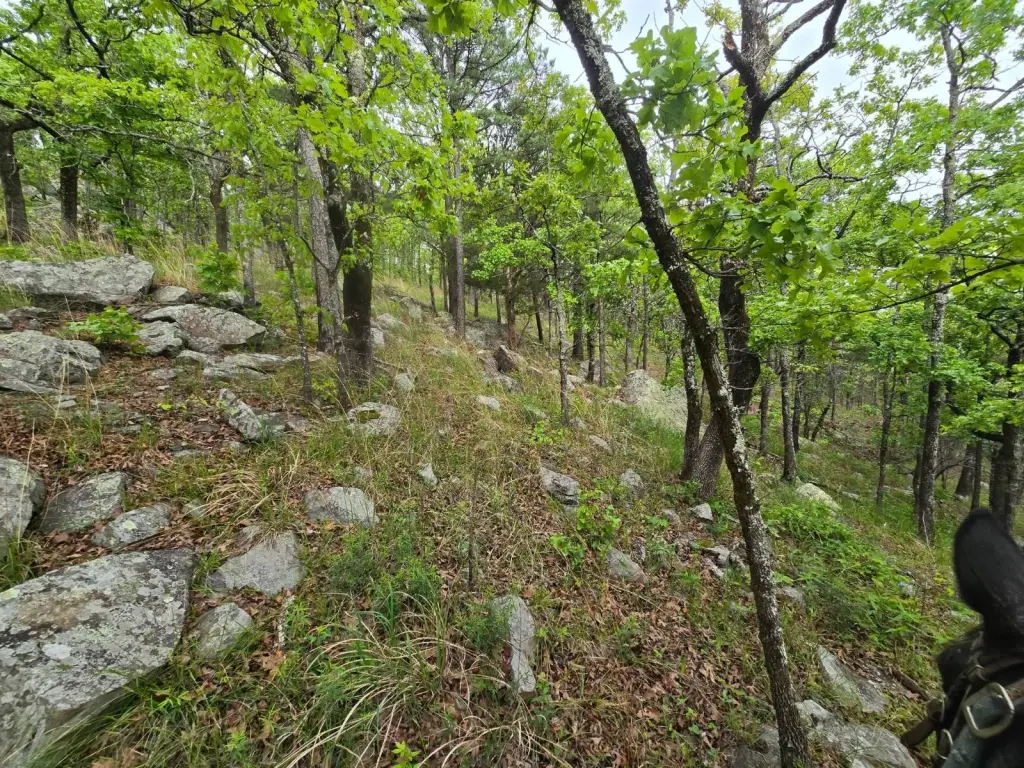Picture 23
