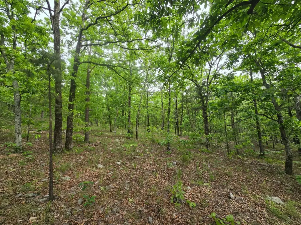 Picture 11