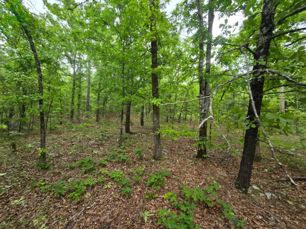 Picture 13