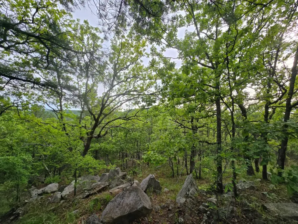 Picture 28
