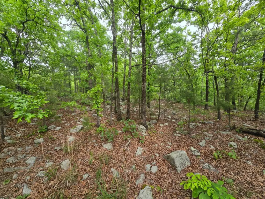 Picture 14