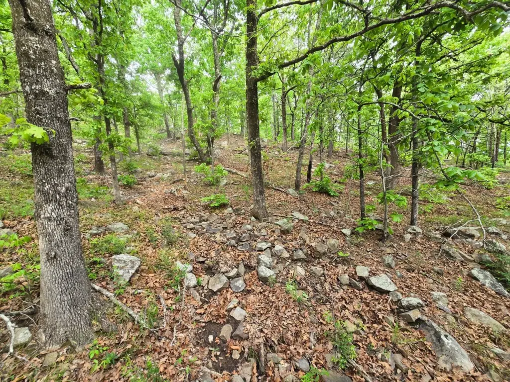 Picture 29