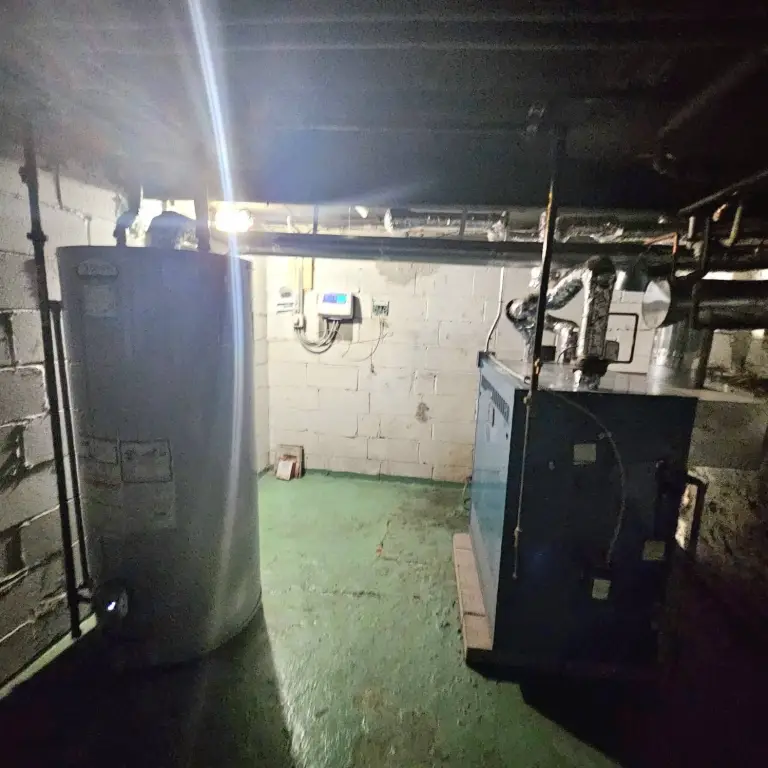 Picture 19