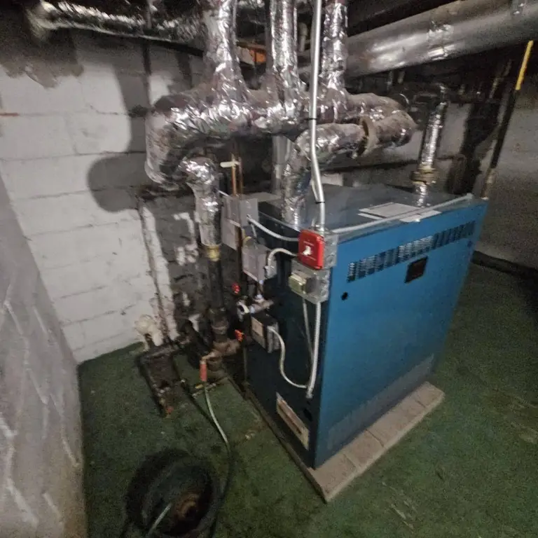 Picture 21